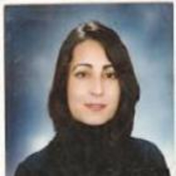 Insaf Ergiş