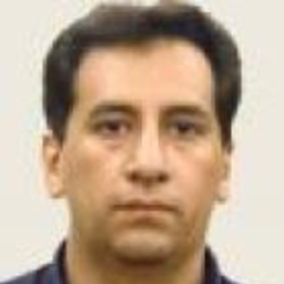 GUSTAVO ENRIQUE VIÑAS MONTES