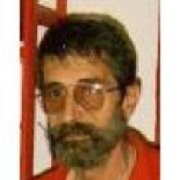 Teodorescu Viorel