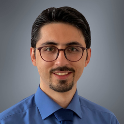 Ing. Mahdi Javadi