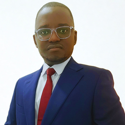 Bamidele David