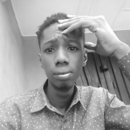 Daniel Odubela