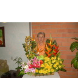 Lucía ZARATE DE MANOSALVA