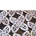 White Cotton lace Fabric