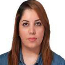 Ing. sheida homai razavi