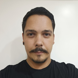 Pedro Sousa