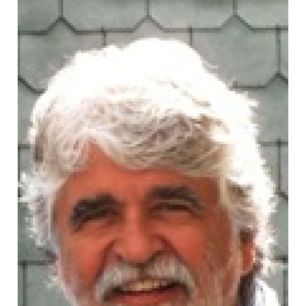 Hansjürgen Menzel Beratung Logistic und Transport Menzel