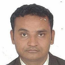 Hetalkumar v. Patel