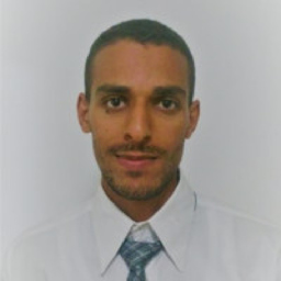 Dipl.-Ing. Ali Tabbabi