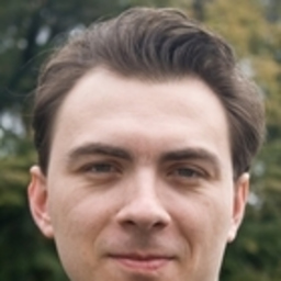 Denis Babaev