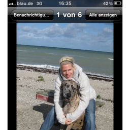 Susanne El-Hifnawy's profile picture