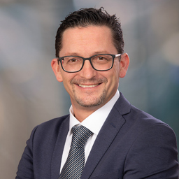 Dipl.-Ing. Robert Palan - MBA