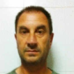 Jose Luis sanchis Mañanos