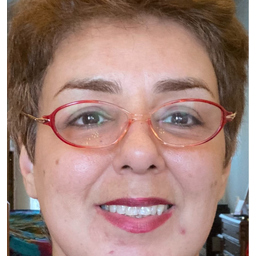 Dipl.-Ing. Schadi Dapouyeh