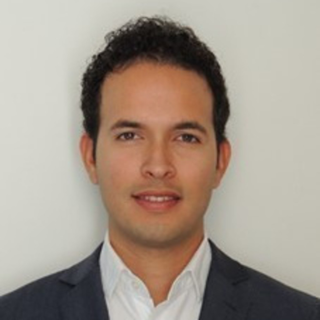 Ing. Carlos Gutierrez Projektingenieur Timbatec GmbH XING