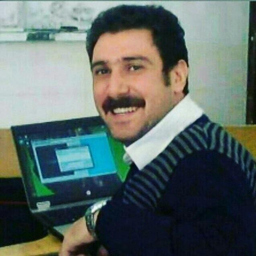 Seyed Vahid Feizbakhsh