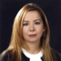 Deniz Güler