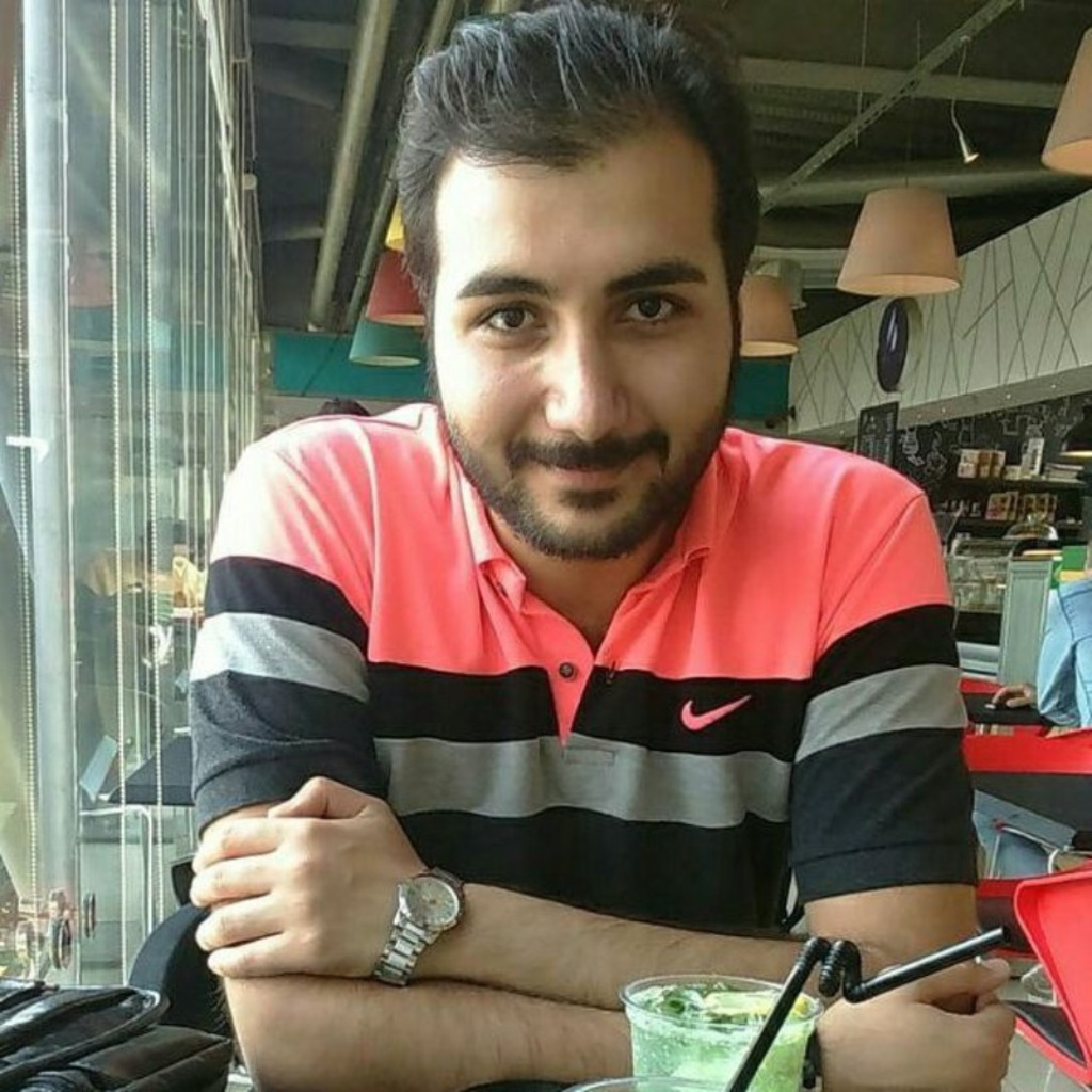 mohammad hosseini Network Operator Hiweb XING