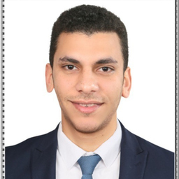 MAHMOUD ABDELAZEZ HAMAM