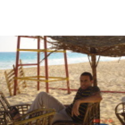 Ahmed Mohsen