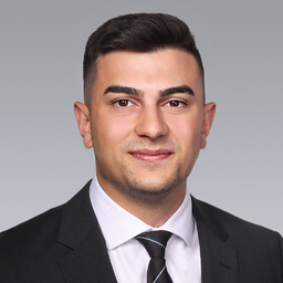 Domenik Stamer