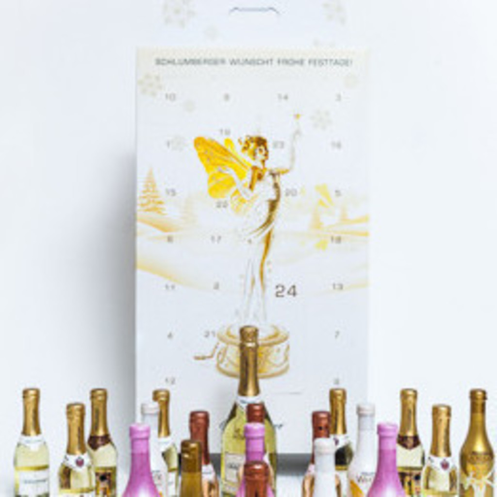 Robert Pachler CEO and Founder GOTROLLEY GmbH XING