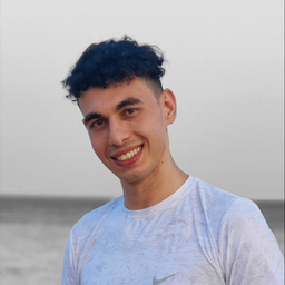 Ibrahim Metawie