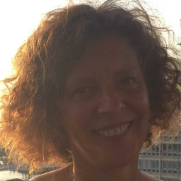Katharina Stoll's profile picture
