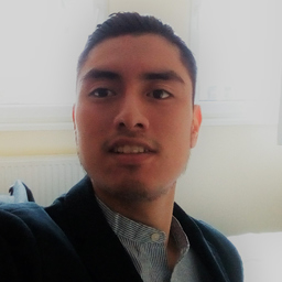 Ing. Myron Valenzuela Castro