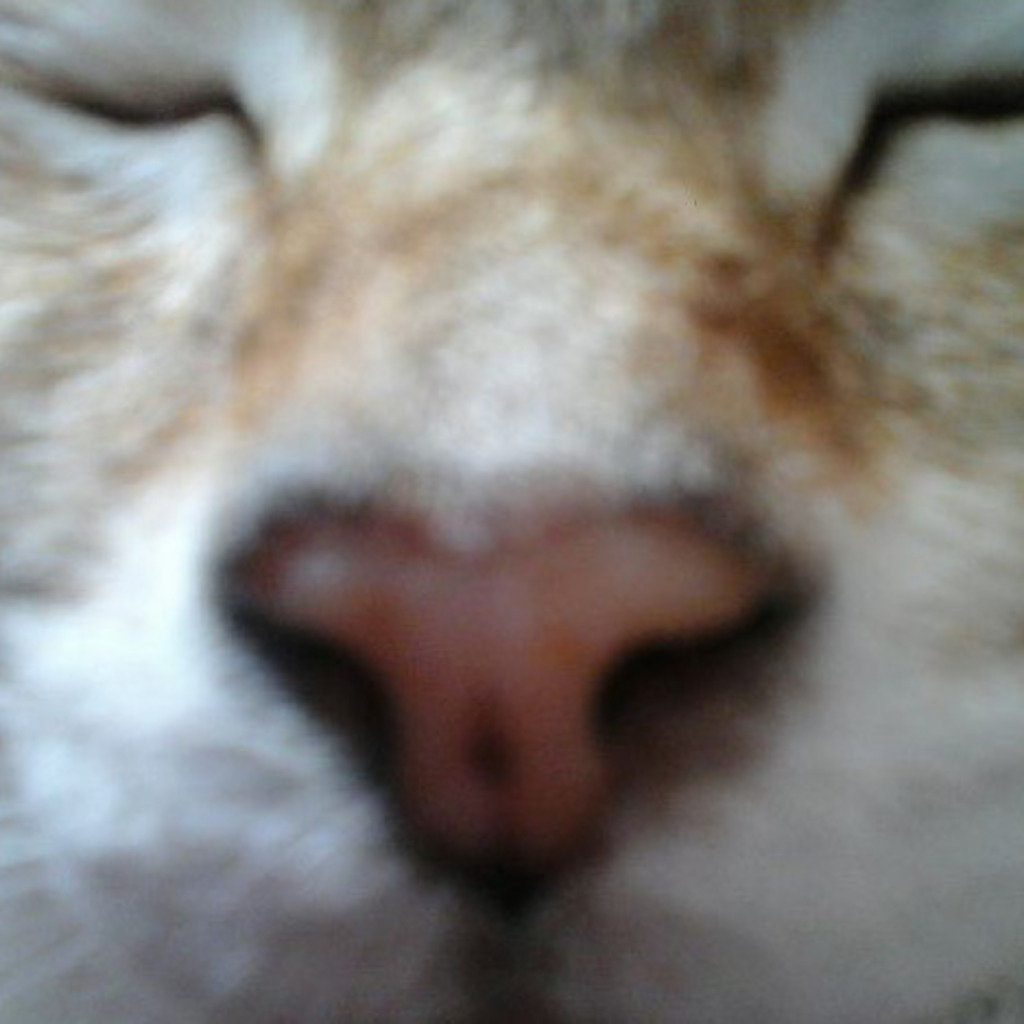 Petra Dehmel Büromanagement Mikropartner XING