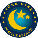 turk gine