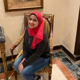 Menna Mustafa