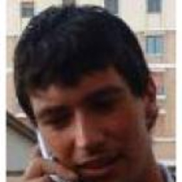Michele Valestra