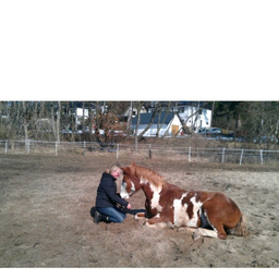 Annette Strobach