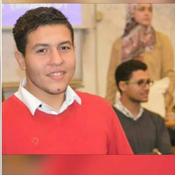 amr mohamed foad
