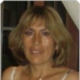Alcira G. Miñano Murga