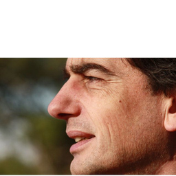 Dipl.-Ing. François De Pouplana