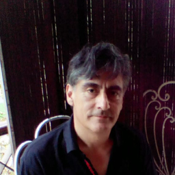 Dipl.-Ing. Francisco Javier Videla Bravo