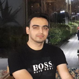 Ali Loloee