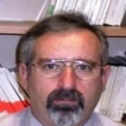 Helmuth Volk