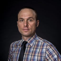 Daniel Manaila