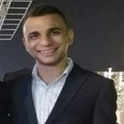 Ezzelden Ezzat's profile picture