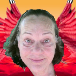 Ibis ferreira soares Brandão's profile picture