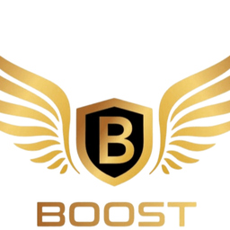 boostmobile detailing