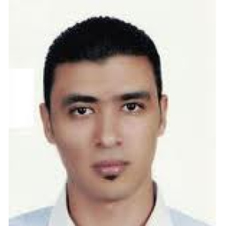 Amer elhakim