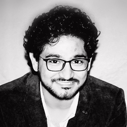 Ing. Mehdi Raza Jaffri