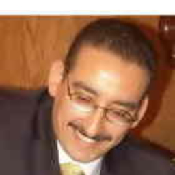 Adel Mohamedi