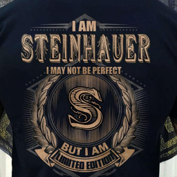 Prof. Alfred Steinhauer