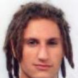 andrea paleologo