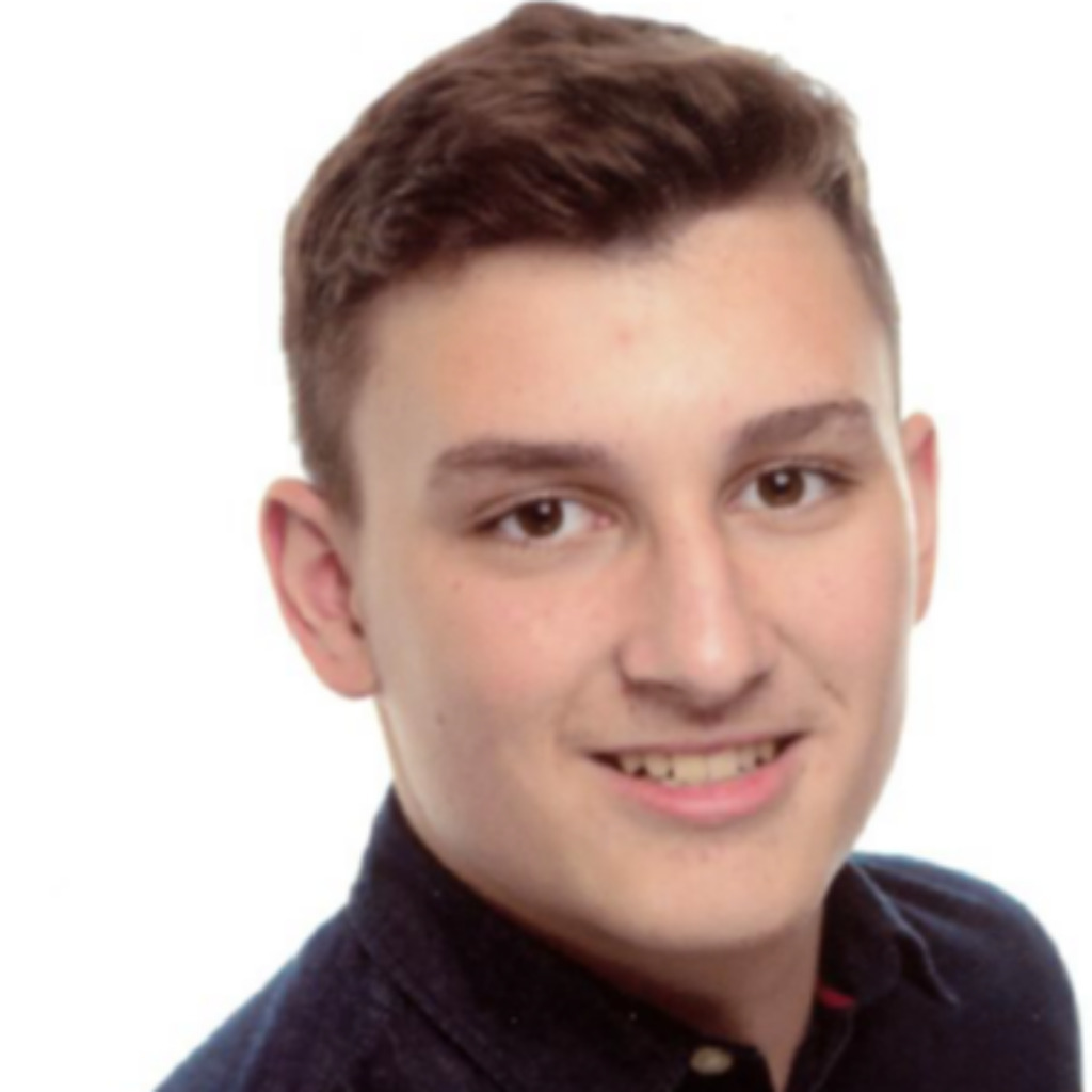 Nemanja Matic Ausbildung und Berufserfahrung XING